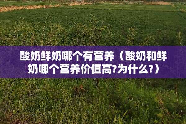 酸奶鲜奶哪个有营养（酸奶和鲜奶哪个营养价值高?为什么?）