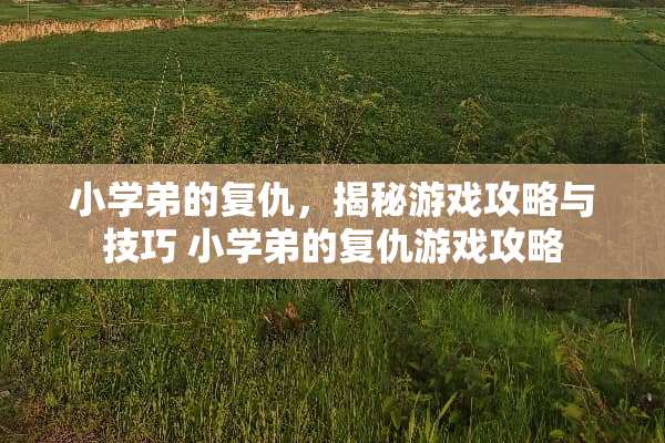 小学弟的复仇，揭秘游戏攻略与技巧 小学弟的复仇游戏攻略