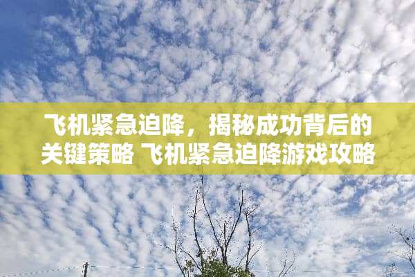 飞机紧急迫降，揭秘成功背后的关键策略 飞机紧急迫降游戏攻略