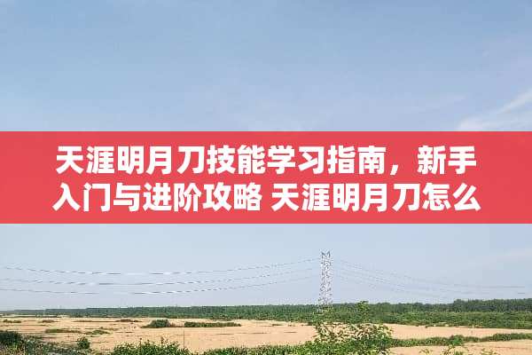 天涯明月刀技能学习指南，新手入门与进阶攻略 天涯明月刀怎么学技能