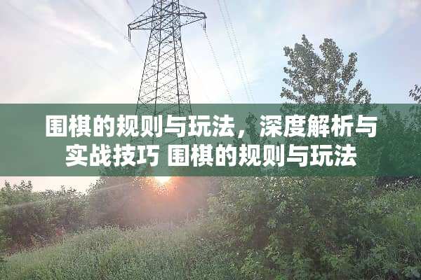 围棋的规则与玩法，深度解析与实战技巧 围棋的规则与玩法