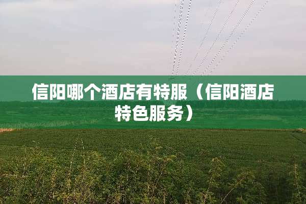 信阳哪个酒店有特服（信阳酒店特色服务）