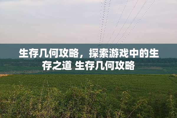 生存几何攻略，探索游戏中的生存之道 生存几何攻略
