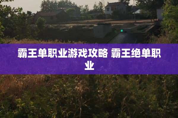 **单职业游戏攻略**绝单职业