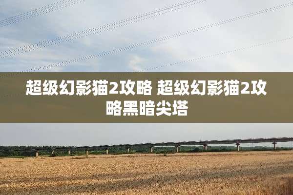 超级幻影猫2攻略 超级幻影猫2攻略黑暗尖塔