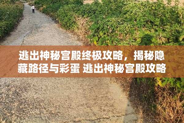 逃出神秘宫殿终极攻略，揭秘隐藏路径与彩蛋 逃出神秘宫殿攻略