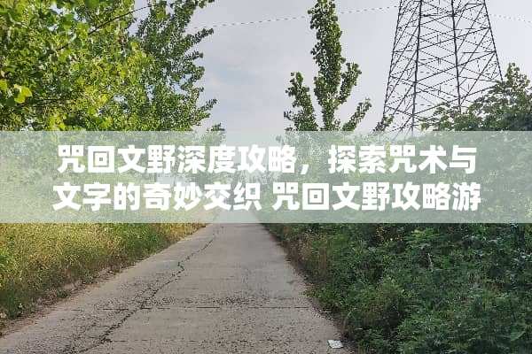 咒回文野深度攻略，探索咒术与文字的奇妙交织 咒回文野攻略游戏