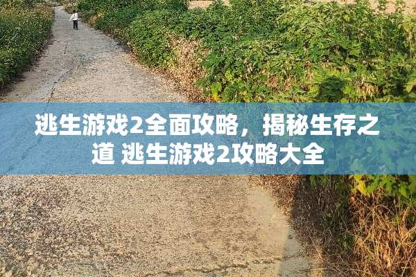 逃生游戏2全面攻略，揭秘生存之道 逃生游戏2攻略大全