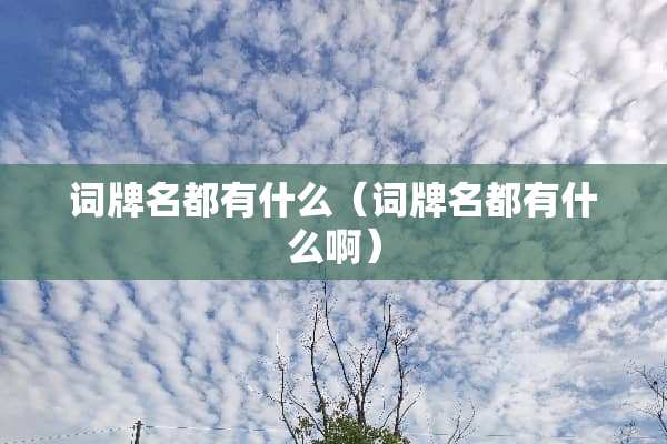 词牌名都有什么（词牌名都有什么啊）