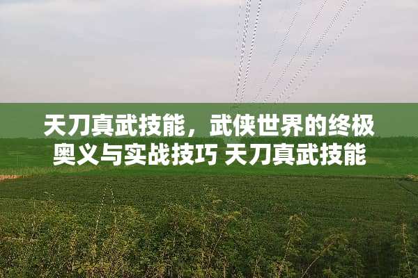 天刀真武技能，武侠世界的终极奥义与实战技巧 天刀真武技能