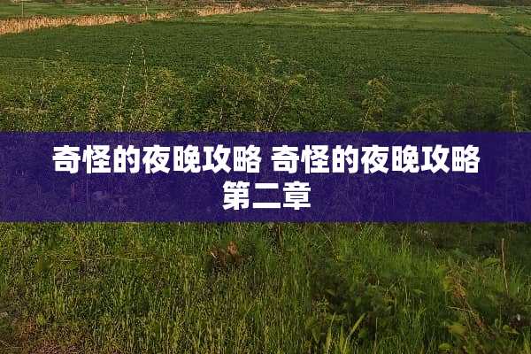 奇怪的夜晚攻略 奇怪的夜晚攻略第二章