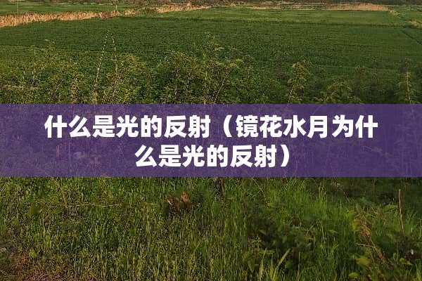 什么是光的反射（镜花水月为什么是光的反射）