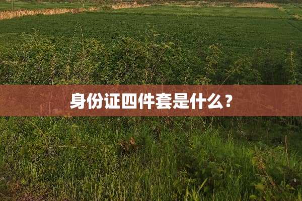 ***四件套是什么？