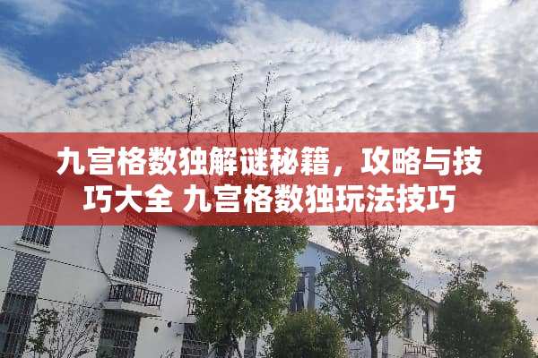 九宫格数独解谜秘籍，攻略与技巧大全 九宫格数独玩法技巧