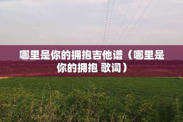 哪里是你的拥抱吉他谱（哪里是你的拥抱 歌词）
