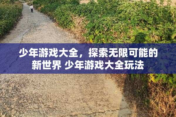 少年游戏大全，探索无限可能的新世界 少年游戏大全玩法