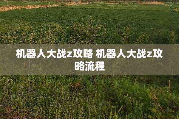 机器**战z攻略 机器**战z攻略流程