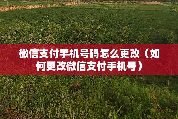 微信支付手机号码怎么更改（如何更改微信支付手机号）