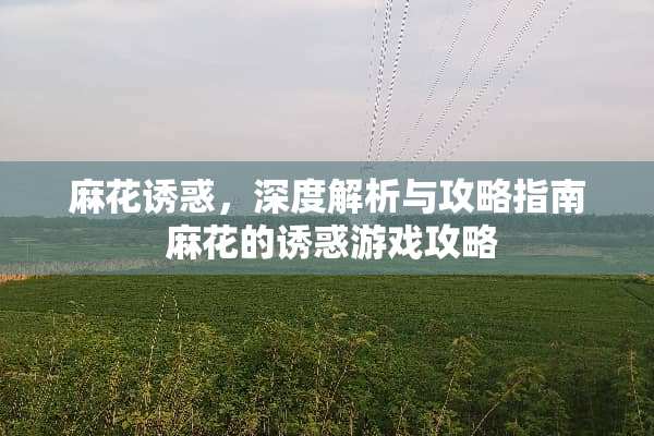 麻花**，深度解析与攻略指南 麻花的**游戏攻略