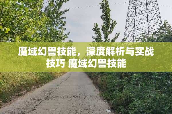 魔域幻兽技能，深度解析与实战技巧 魔域幻兽技能