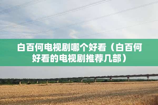 白百何电视剧哪个好看（白百何好看的电视剧推荐几部）