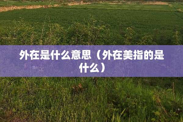 外在是什么意思（外在美指的是什么）