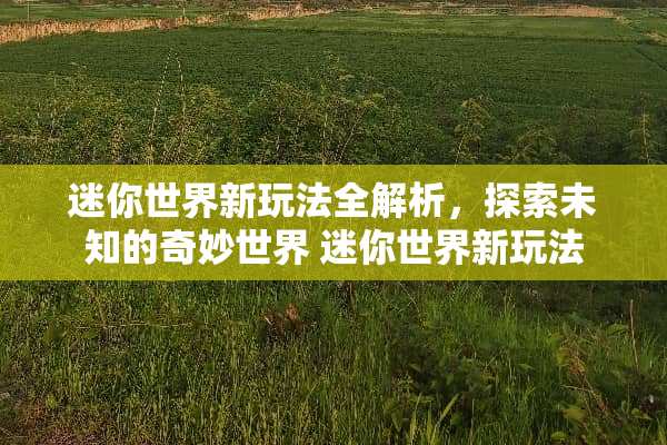 迷你世界新玩法全解析，探索未知的奇妙世界 迷你世界新玩法