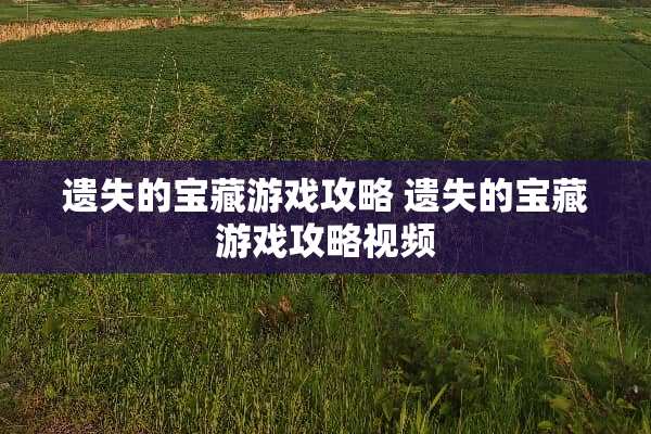 遗失的宝藏游戏攻略 遗失的宝藏游戏攻略视频