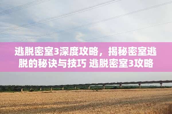 逃脱密室3深度攻略，揭秘密室逃脱的秘诀与技巧 逃脱密室3攻略
