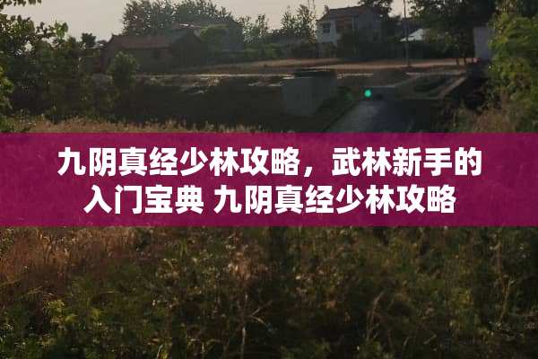 九*真经少林攻略，武林新手的入门宝典 九*真经少林攻略