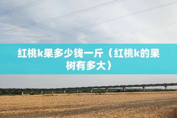 红桃k果多少钱一斤（红桃k的果树有多大）