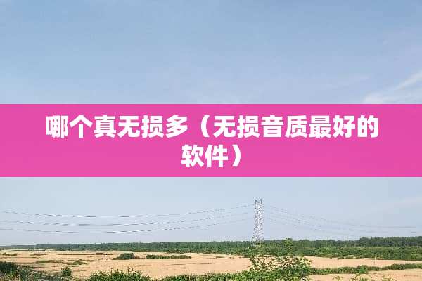 哪个真无损多（无损音质最好的软件）