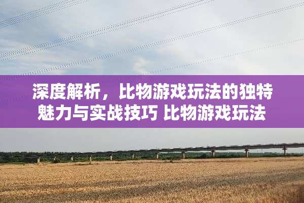 深度解析，比物游戏玩法的独特魅力与实战技巧 比物游戏玩法