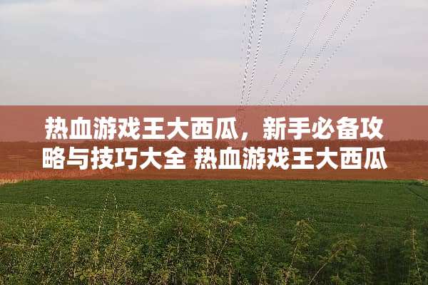 热血游戏王大西瓜，新手必备攻略与技巧大全 热血游戏王大西瓜玩法