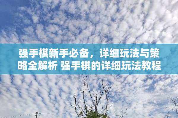 强手棋新手必备，详细玩法与策略全解析 强手棋的详细玩法教程