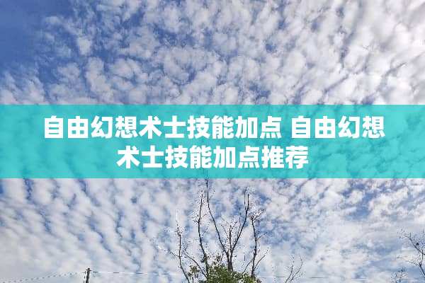 自由幻想术士技能加点 自由幻想术士技能加点推荐