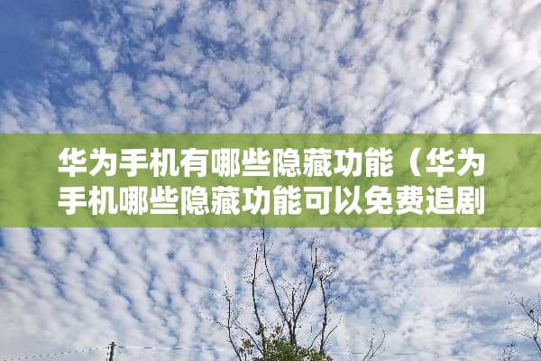 华为手机有哪些隐藏功能（华为手机哪些隐藏功能可以免费追剧软件下载）