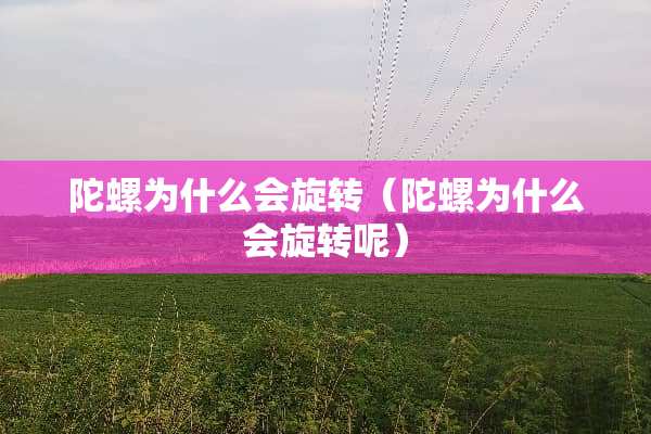 陀螺为什么会旋转（陀螺为什么会旋转呢）