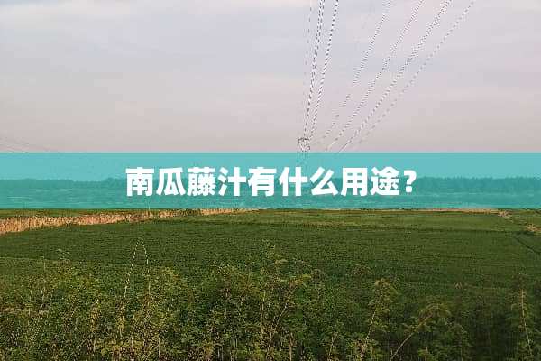 南瓜藤汁有什么用途？