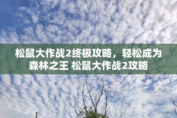 松鼠大作战2终极攻略，轻松成为森林之王 松鼠大作战2攻略