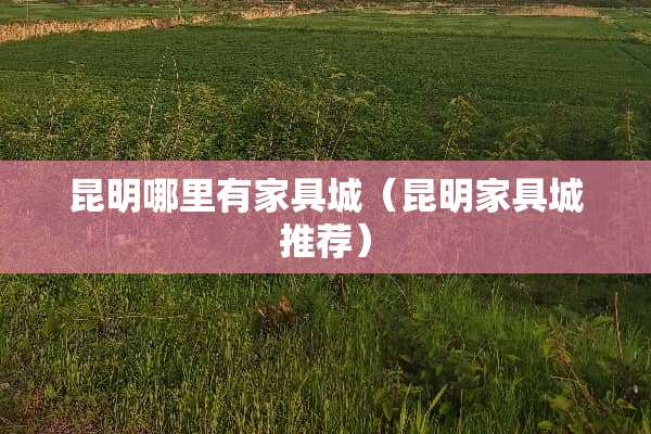 昆明哪里有家具城（昆明家具城推荐）