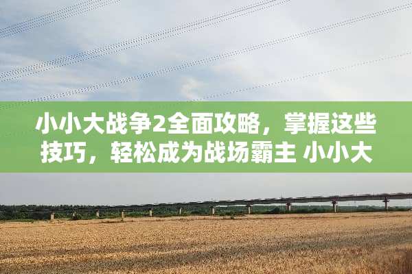 小小大战争2全面攻略，掌握这些技巧，轻松成为战场霸主 小小大战争2攻略