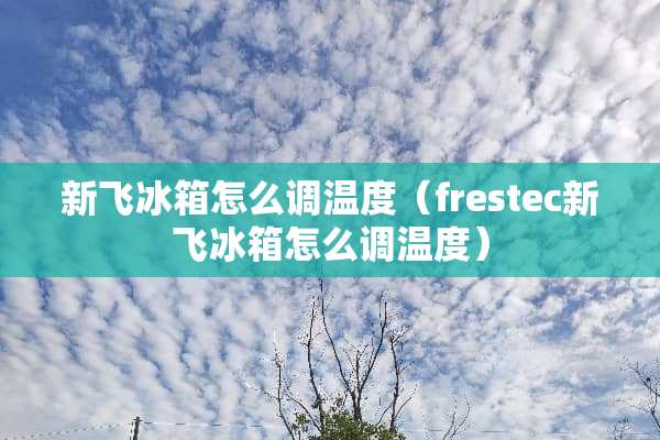 新飞冰箱怎么调温度（frestec新飞冰箱怎么调温度）