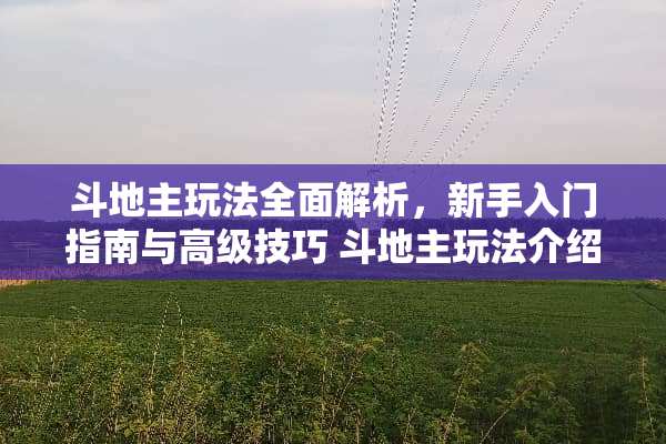 ***玩法全面解析，新手入门指南与高级技巧***玩法介绍