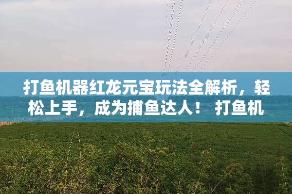 打鱼机器红龙元宝玩法全解析，轻松上手，成为捕鱼达人！ 打鱼机器红龙元宝玩法
