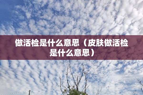 做活检是什么意思（皮肤做活检是什么意思）