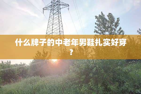 什么牌子的中老年男鞋扎实好穿？
