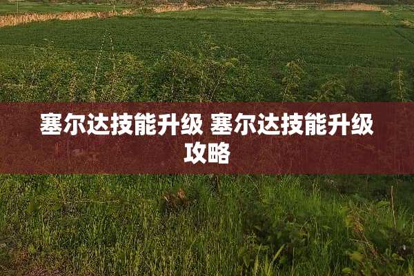 塞尔达技能升级 塞尔达技能升级攻略