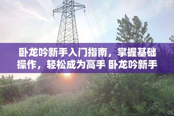 卧龙吟新手入门指南，掌握基础操作，轻松成为高手 卧龙吟新手攻略