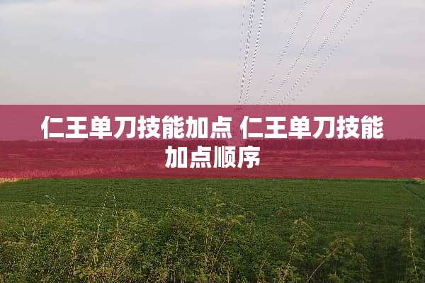 仁王单刀技能加点 仁王单刀技能加点顺序